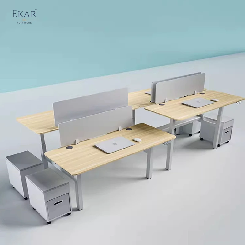 Ekar Expand Furniture Height-Adjustable Dual Workstation Office Desk with Ergonomic Design manufacture