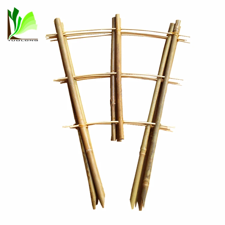 bamboo trellis 3x3b
