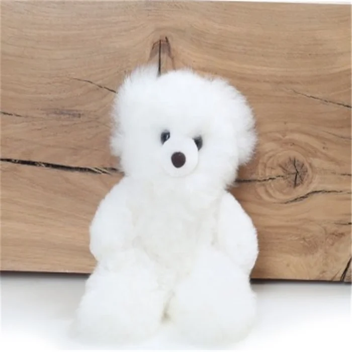 Small white 2024 teddy bear