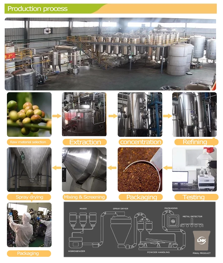 lingzhi production process.jpg
