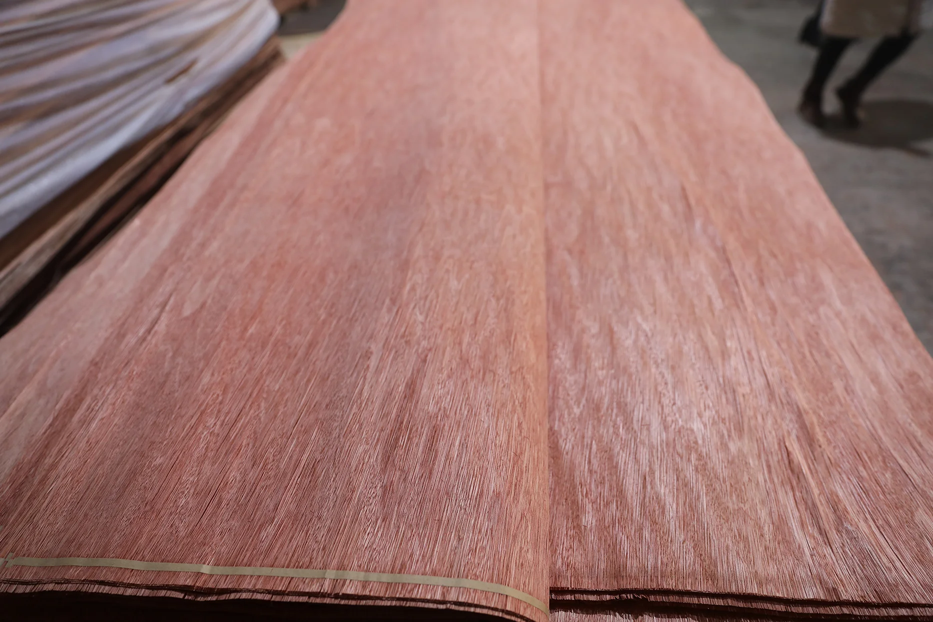 cheap-price-bintangor-wood-veneer-sheet-manufacturer-for-plywood-with