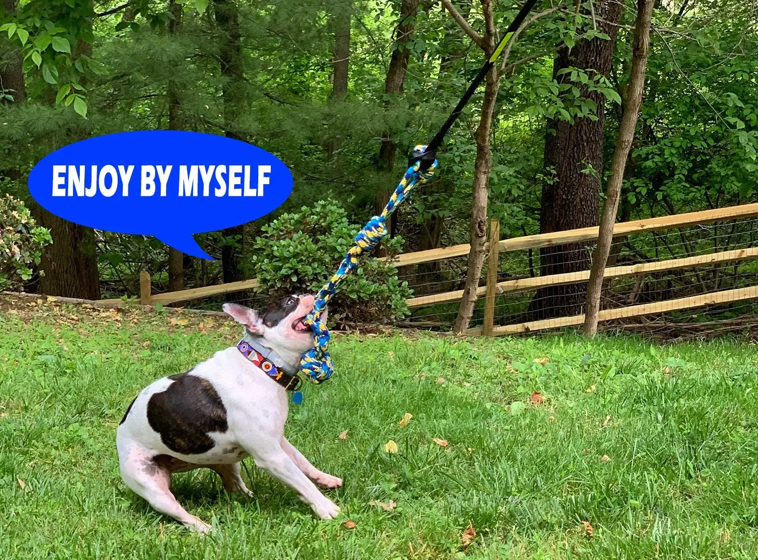 Dog Outdoor Bungee Hanging Toy With Rope Toys Interactive Tether Tug