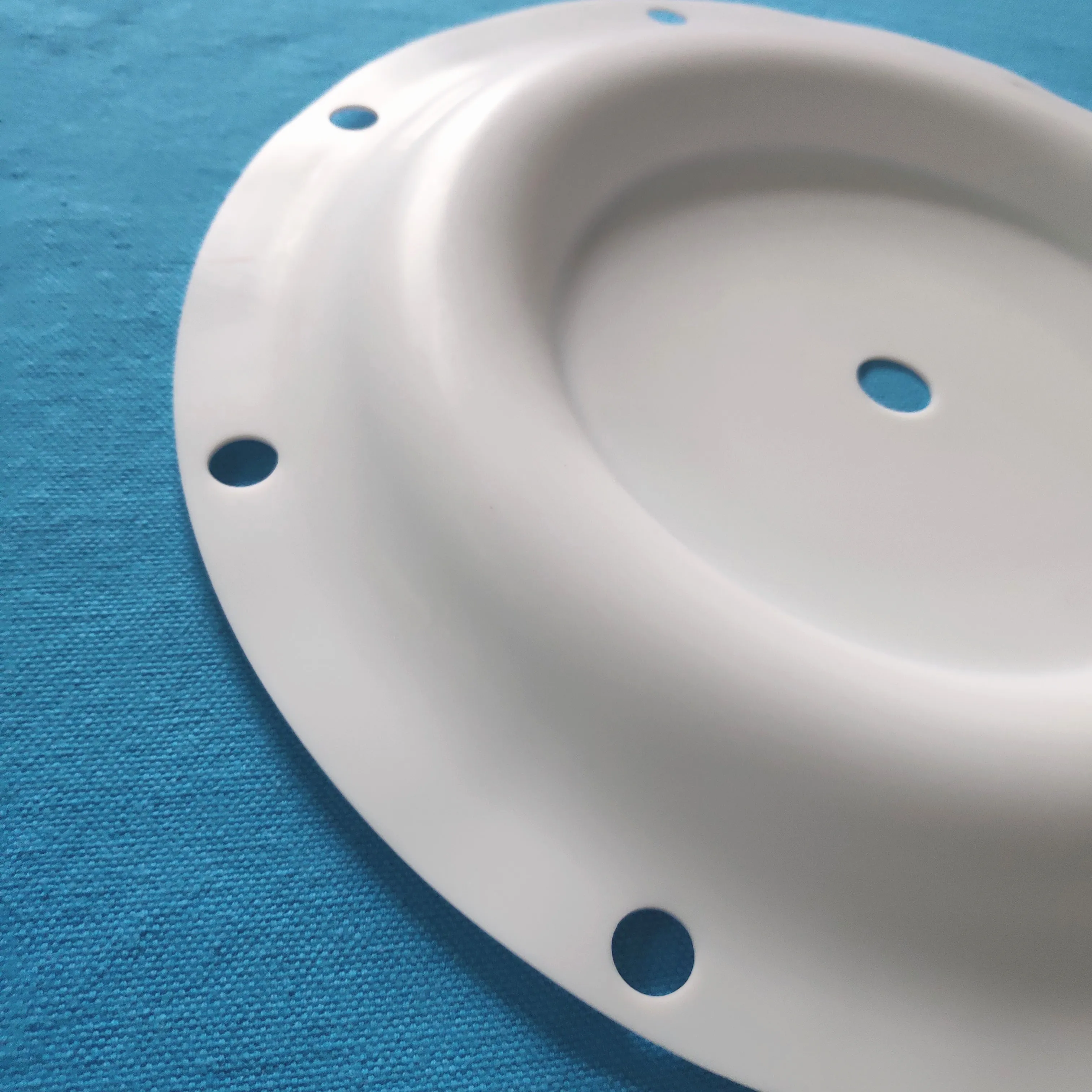 Factory Made Ptfe Diaphragm 286-099-600 For Sandpiper Diaphragm Pump supplier