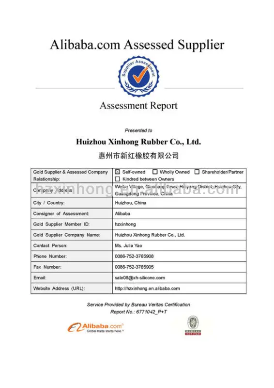 Supplier Assessment Report-Huizhou Xinhong Rubber Co., Ltd.__01_