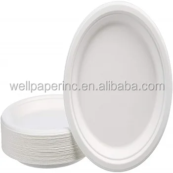 9'' paper plate 08.jpg