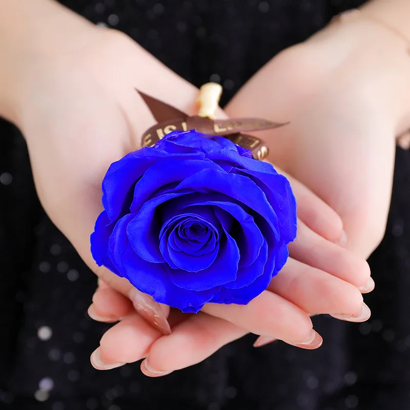 11566219136_2048894983