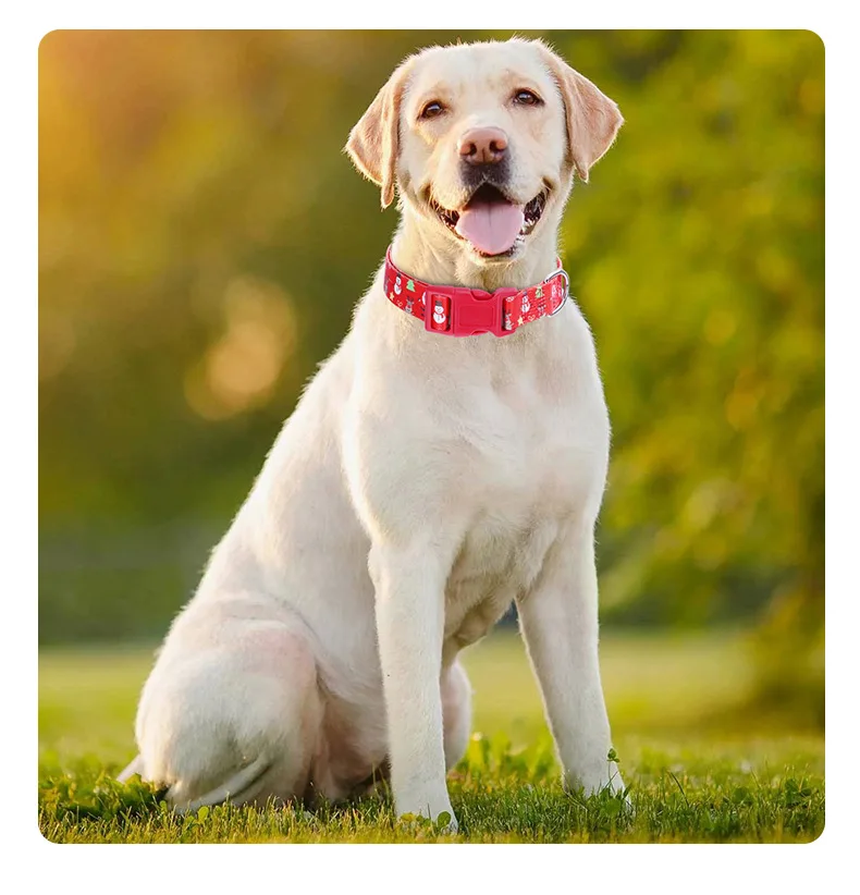 Pet Dog Holiday Christmas Collar