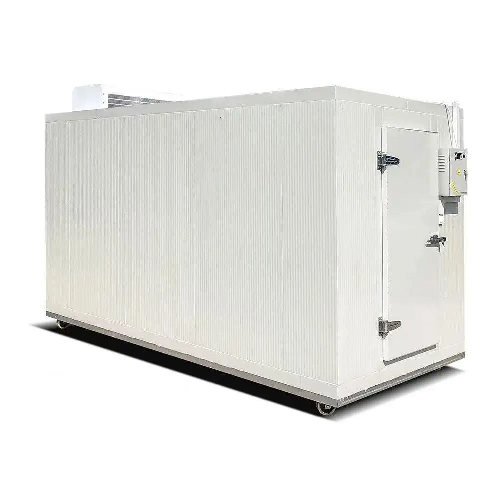 Power Cold Room Freezer, Solar, R134a - detail 2