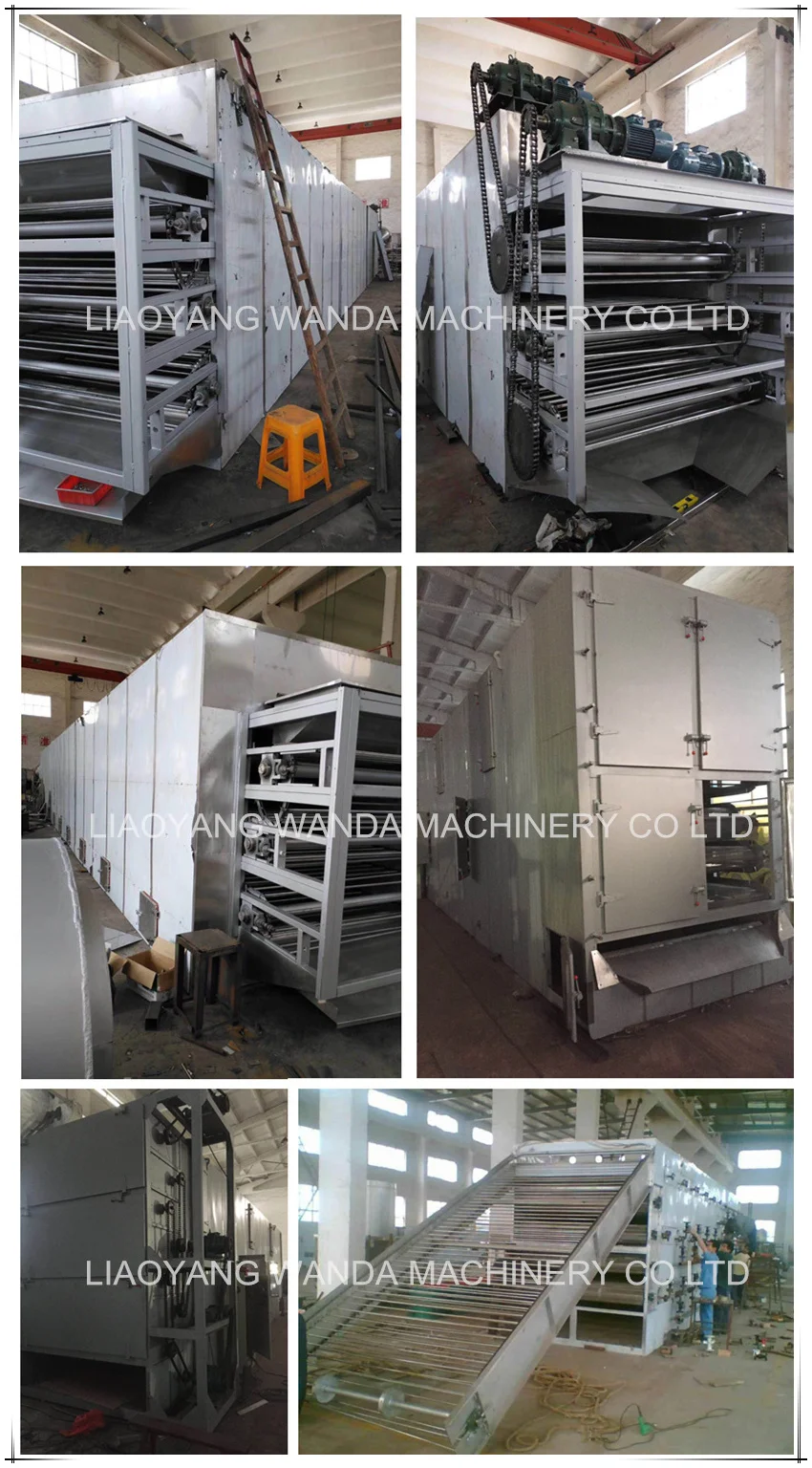 food belt dryer