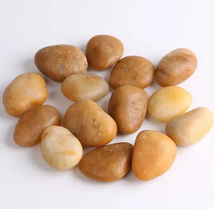 PB-009