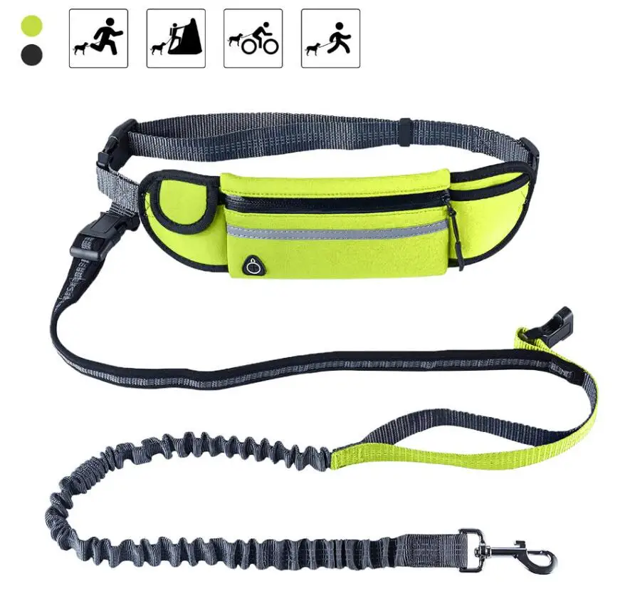 Leash 2.jpg