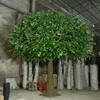 High texture tree bark surface fiberglass material banyan natural looking garden decorative artificial ficus tree