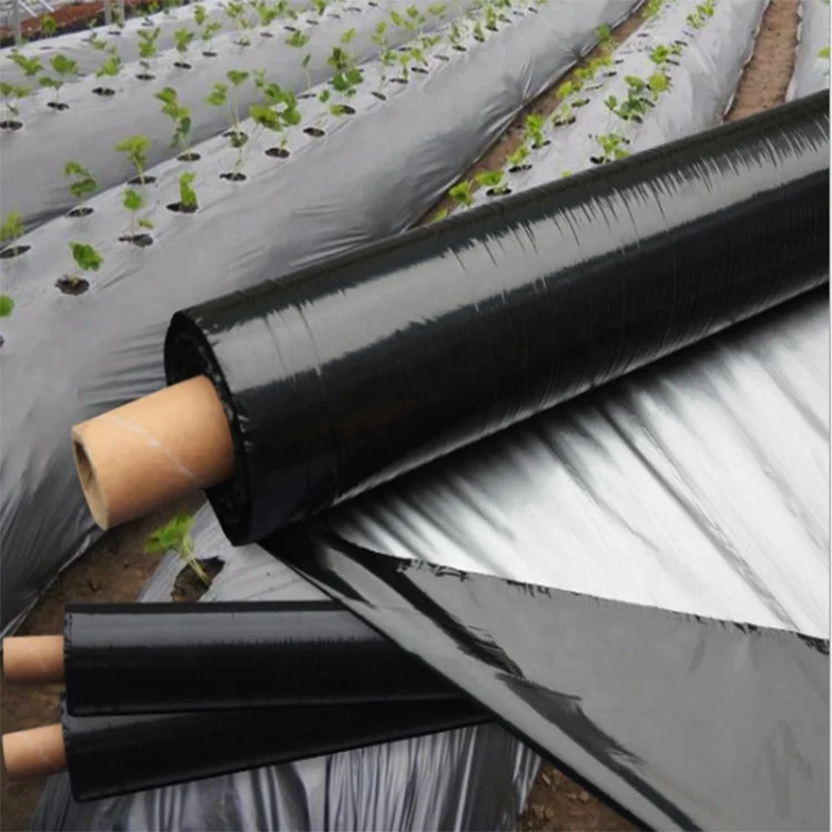 plastic mulch