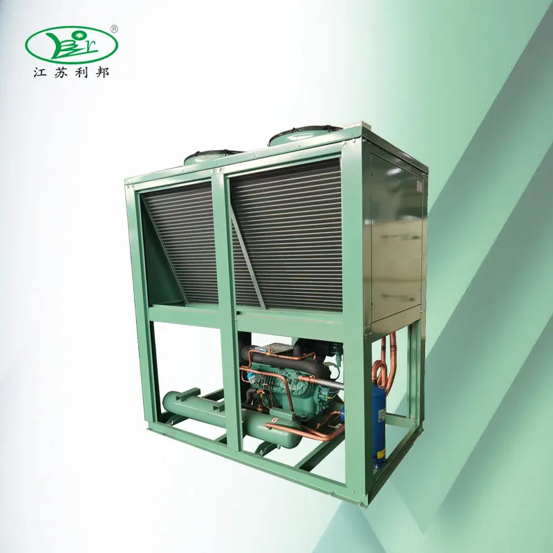 Monolithic Monoblock Condensing Unit For Quick Frozen Storage Bitzer Piston Compressor