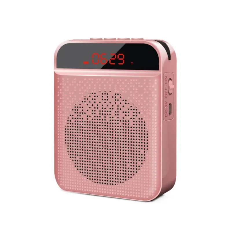 Bee Speaker Guide: How to Choose the Right One