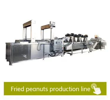 peanut frying line.jpg
