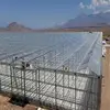Venlo Type Tip Roof PC Sunshine Board Multi-Span Greenhouse for Seedling Breeding/Rose Market/Dwarfed Fruit Tree