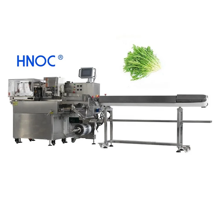 Hnoc Fruit And Vegetable Pouch Wrapping Packing Machine,Automatic Food