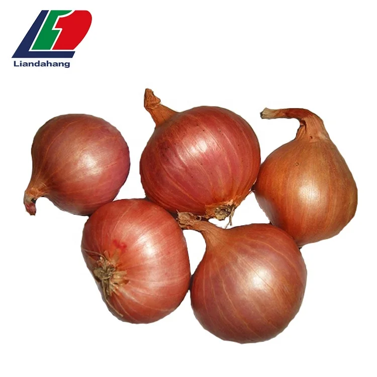 New Crop Fried Onion Powder Buyers,Fried Onion Flakes In Delhi Buy