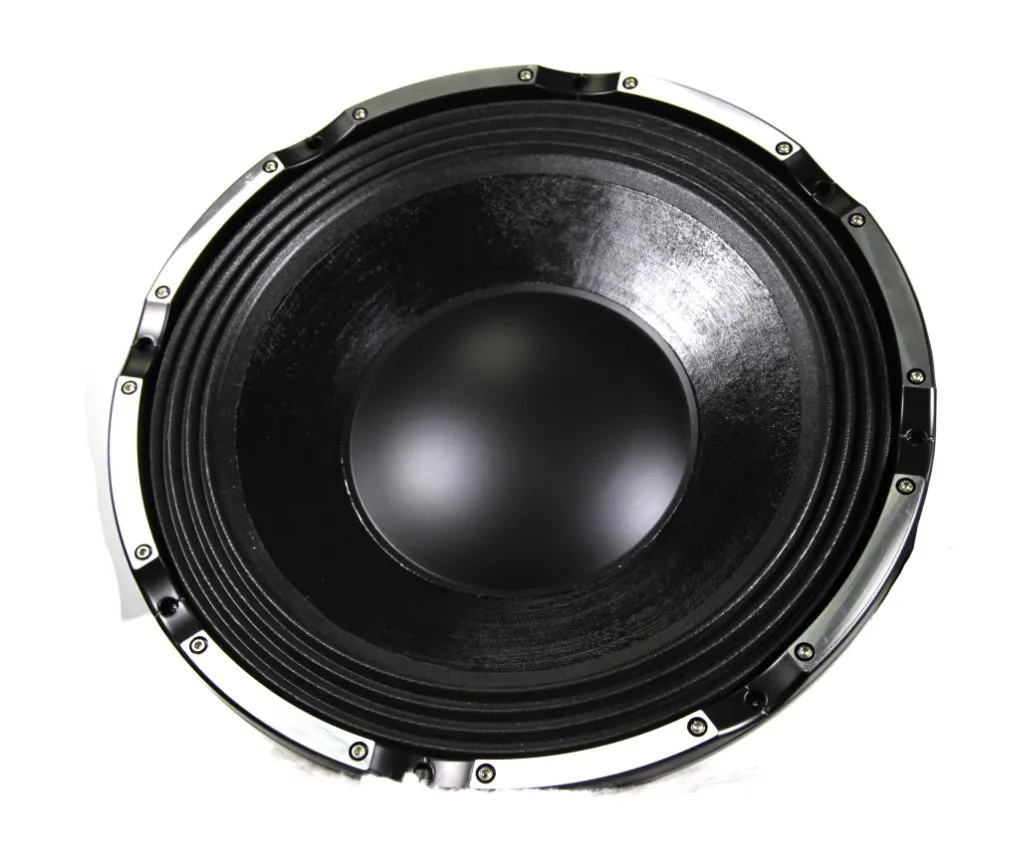 dj bass speaker 24 inch