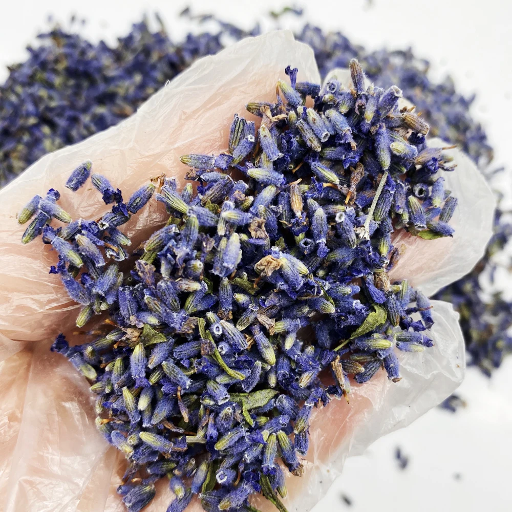 Tooget Fragrant Lavender Buds Organic Dried Flowers Wholesale Ultra Blue Grade 1 for sale online 