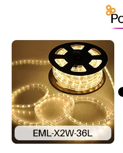 China Suppliers DC12V/24V 3 Wire led rope light 100m