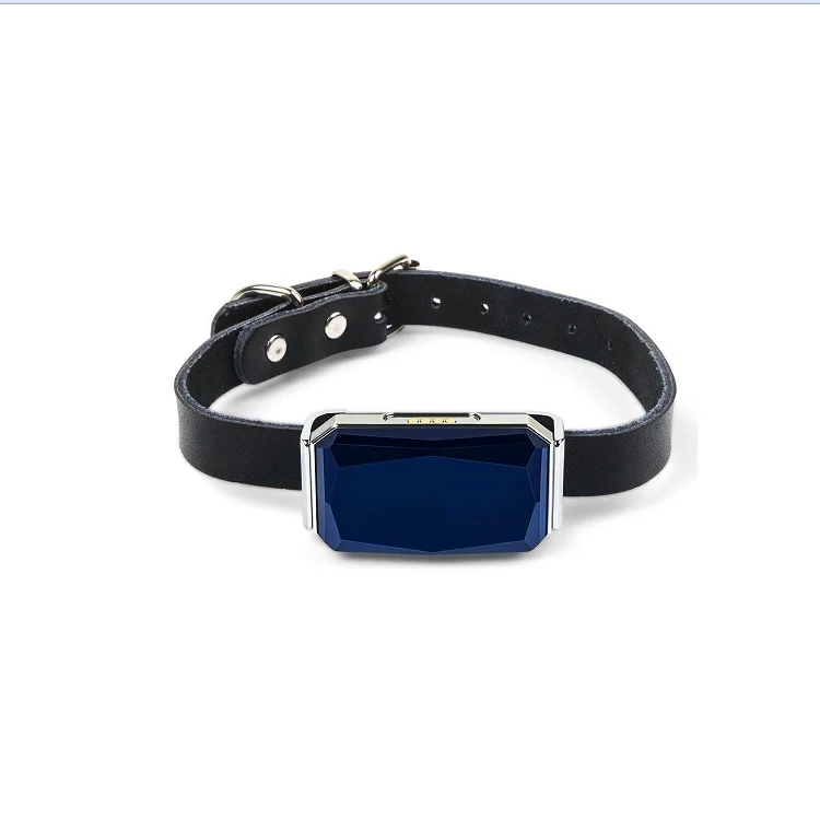 Waterproof Pet GPS tracker Localizer Led Dog Collar Tracking Cat Dog Collars