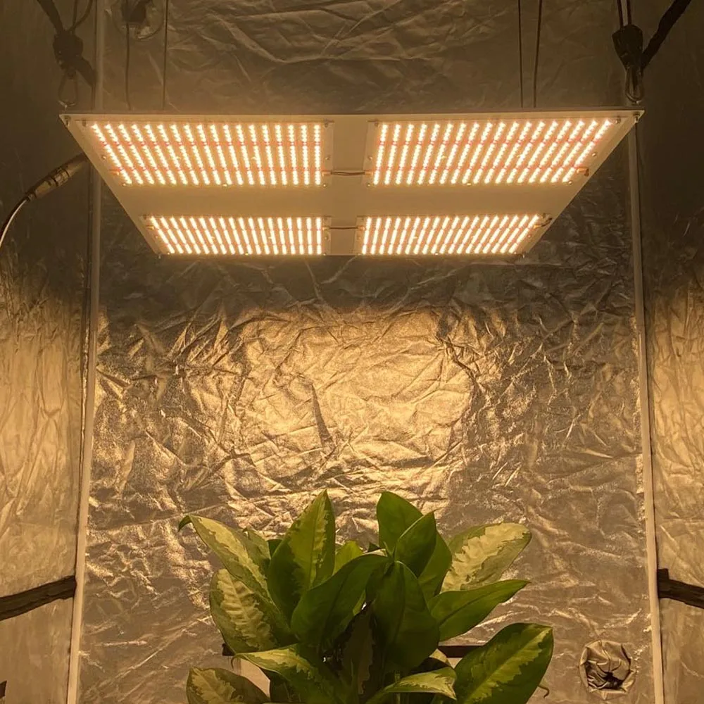 Yuanhui manufacture top full spectrum led grow lights for sale