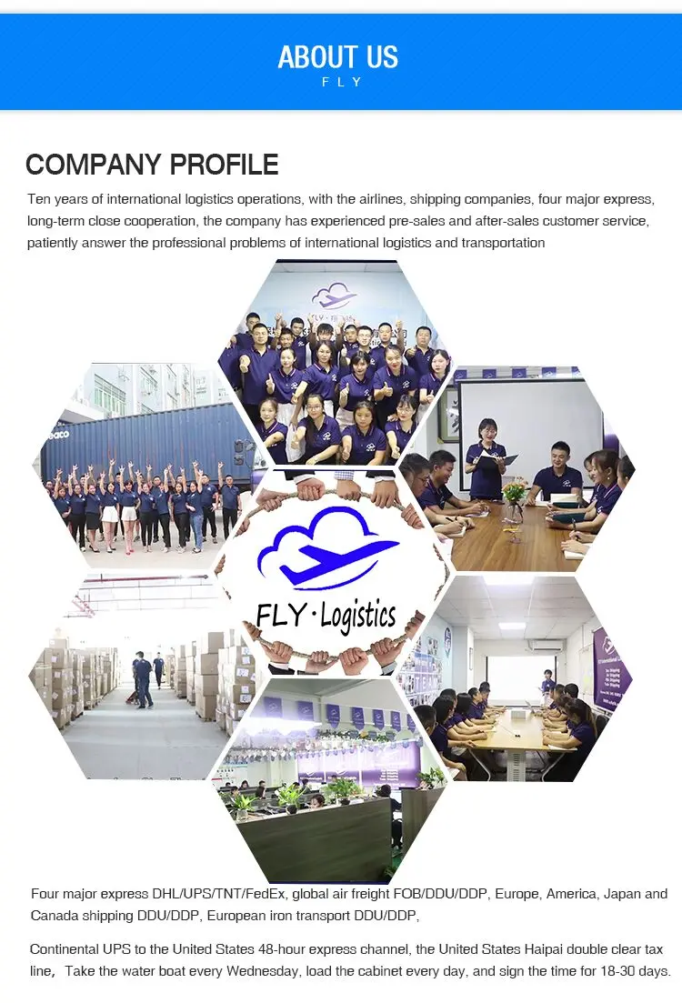  Company profile