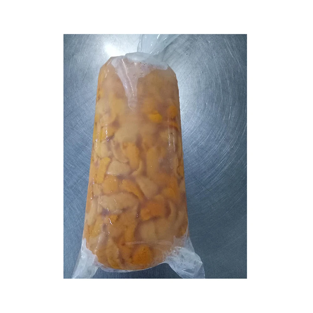 
now available fresh price sea urchins shell with good price 