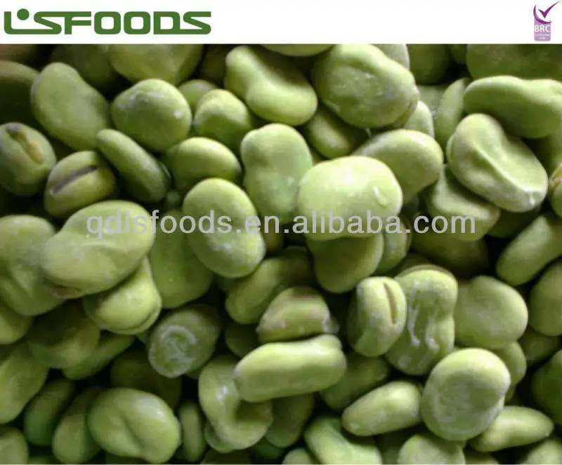 IQF green broad beans 2012crop2