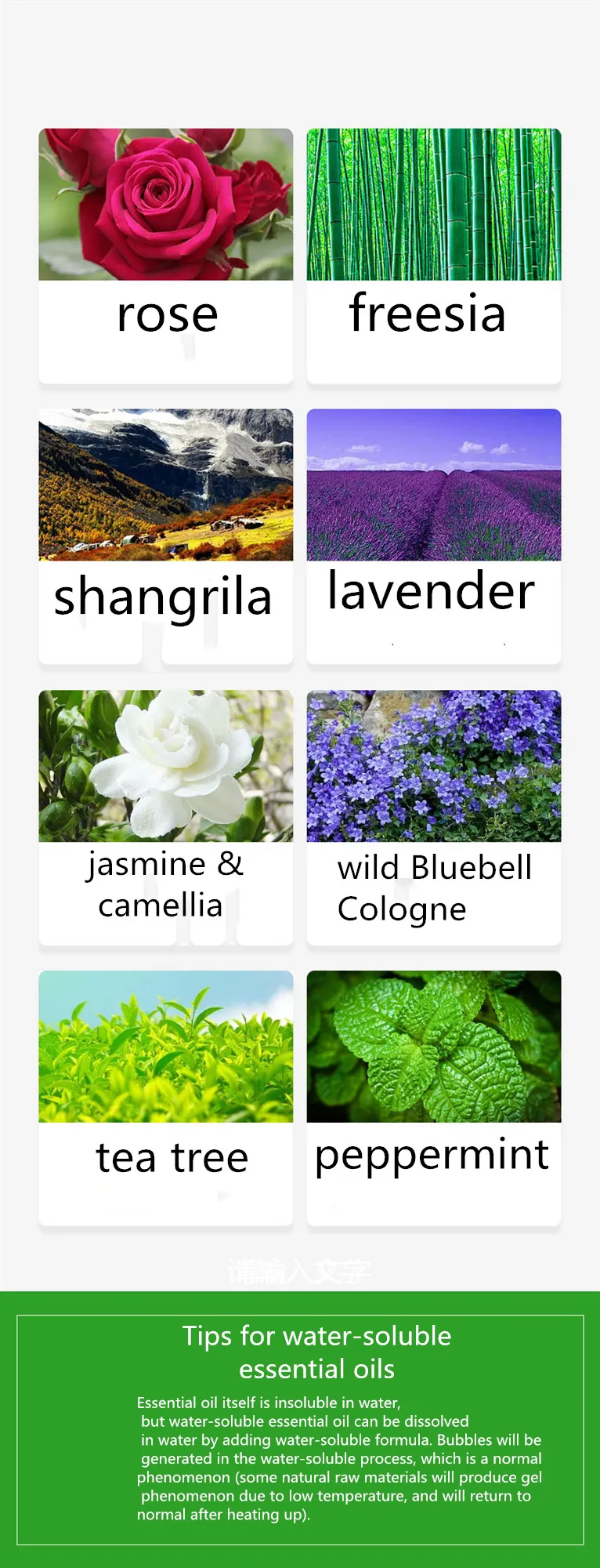 ()12ml_09_.jpg
