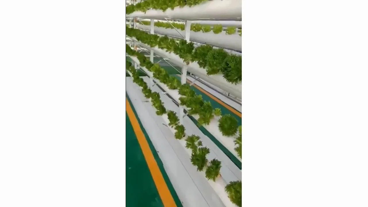 Hydroponics Nft System With 36 Holes Kits,Vertical Hydroponic Growing