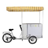 /product-detail/larger-capacity-mobile-electric-ice-cream-vending-freezer-tricycle-with-solar-62229125148.html