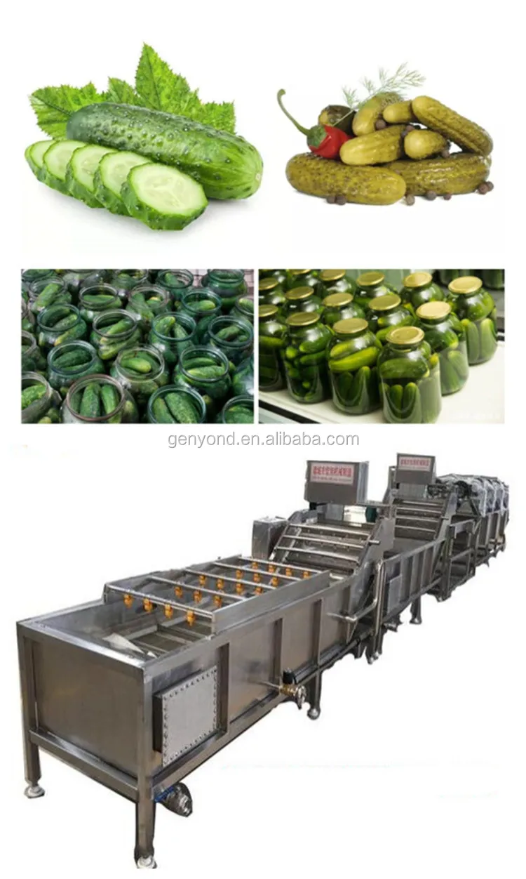 Pickled Cucumber Process Machine / Pickled Vegetables Processing Line Buy Pickled Cucumber
