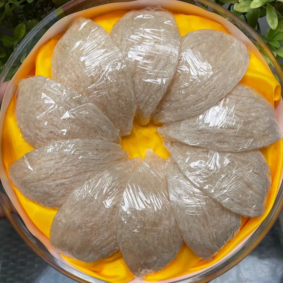 Hcm Vn Bird's Nest From Viet Nam Buy Bird Nest Box Bird Nest Bird