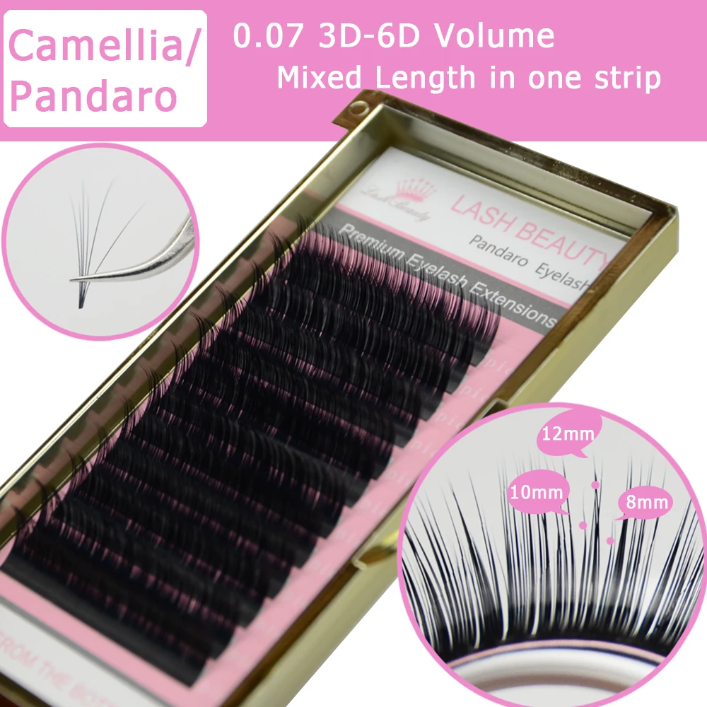 Camellia lash.jpg