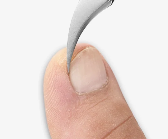 IMG_7502(20191104-151712)