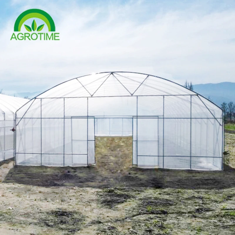 2019 Low Cost Single Tunnel Plastic Film Greenhouse With Hydroponic