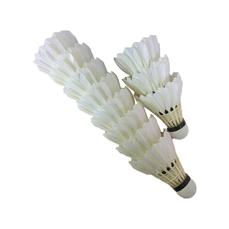 Shuttlecock 03.jpg