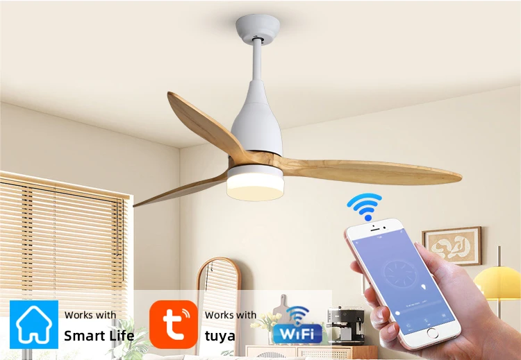 Ceiling Fan, Electric Power, DC 26W - detail 12
