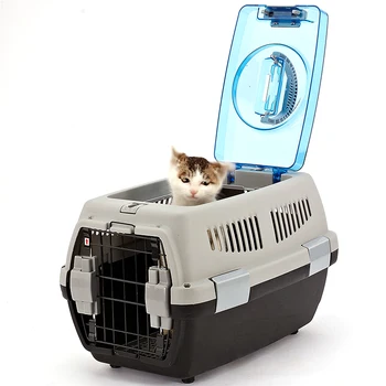 transport box cat