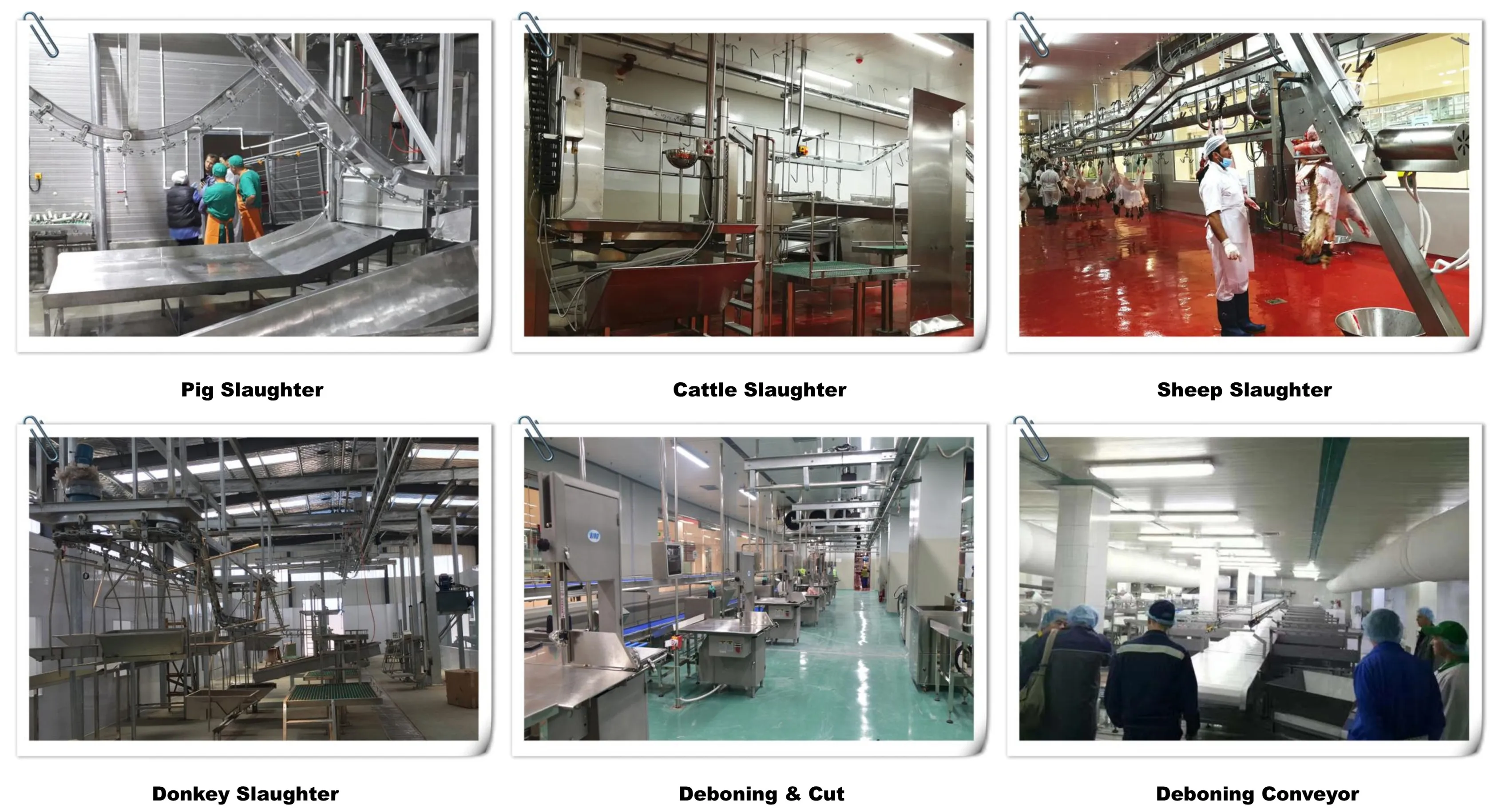 mobile_swine_meat_processing_plant_with_pig_abattoir_machinery