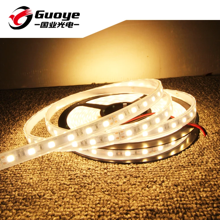 High Brightness ip67 led strip lights 5050 smd cuttable 60 leds/M Flexible waterproof dc 12v 24v  for Holiday Decorative Lights