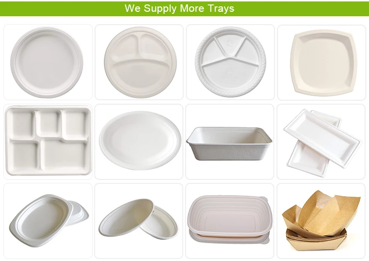 Biodegradable Disposable Bagasse Tray With 4 Compartments For Fast Food