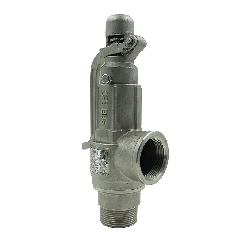 Dkv Full Bore Type Safety Valve Ss316 Low Lift Lever Type Safety