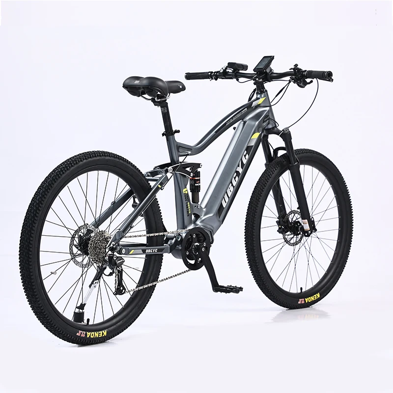 Cheap E-Bikes 1000 W Electric Bicycle - High Quality Sale