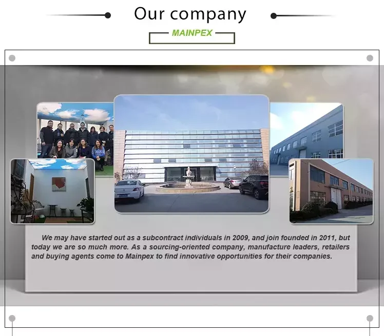 Company Introduction.png