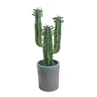 Green cactus plant bonsai artificial indoor artificial plant