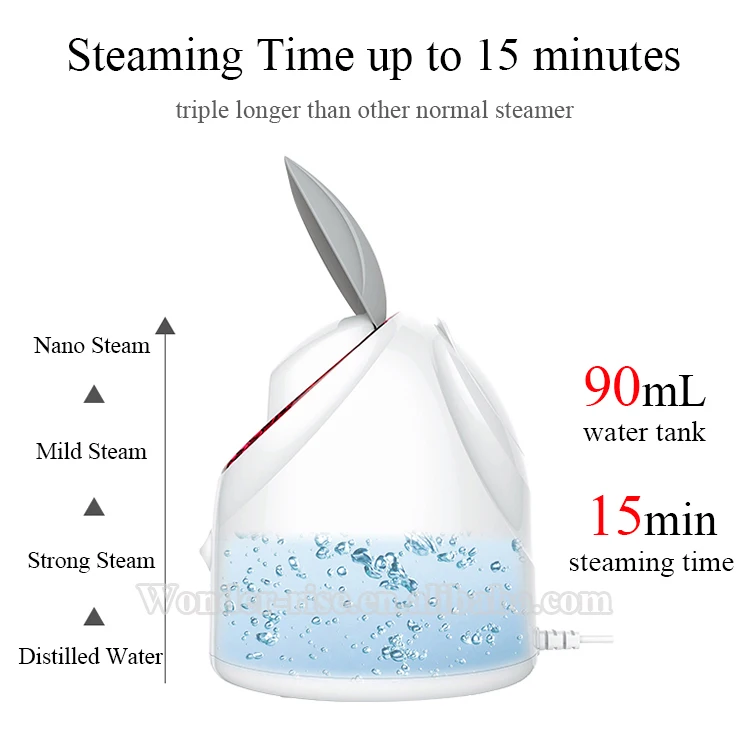 3.facial steamer.jpg